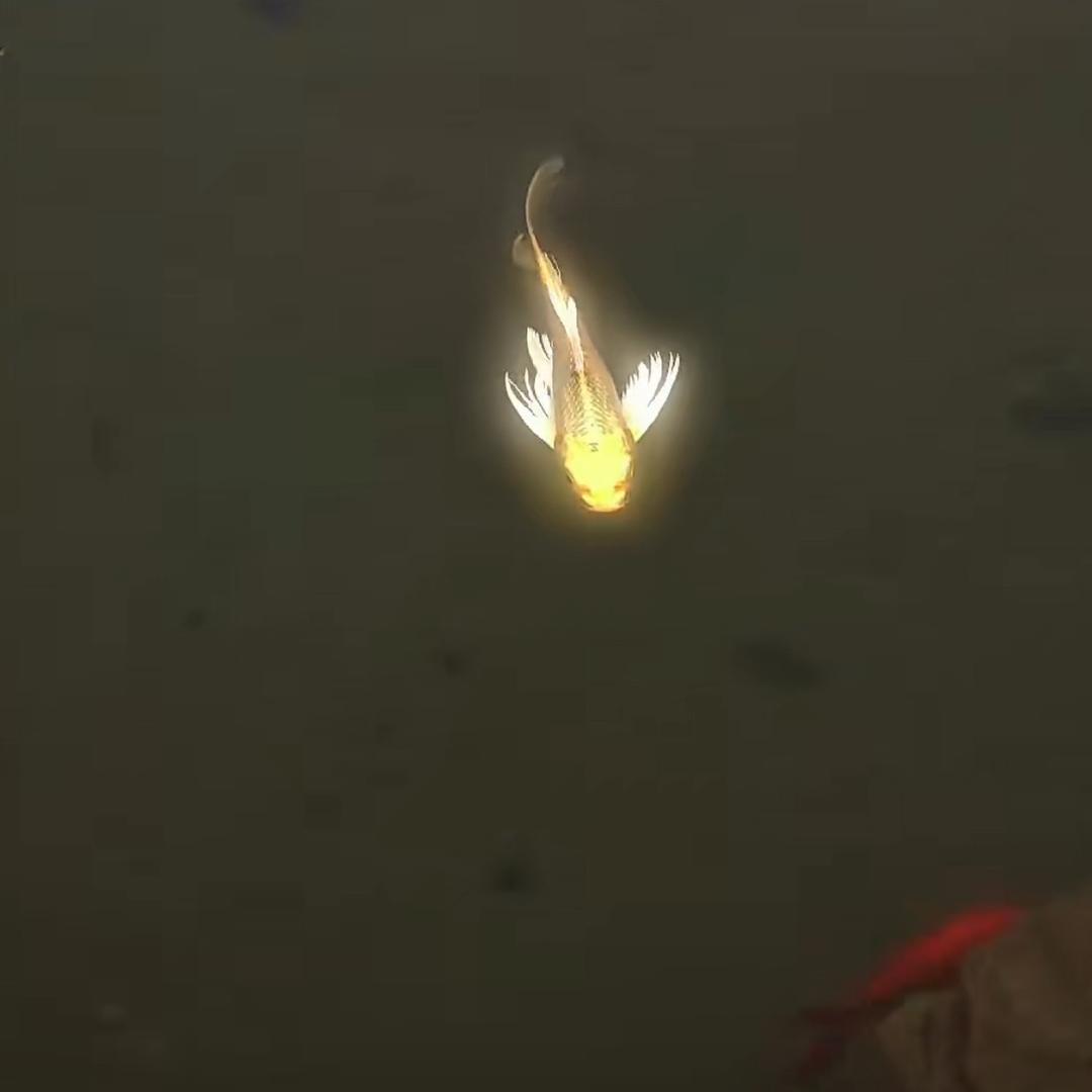 7777777777777