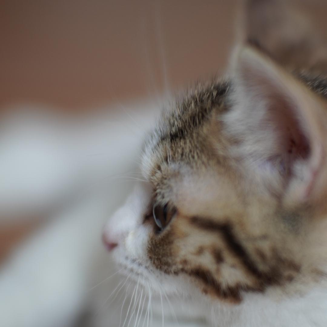 你的一亩三分地