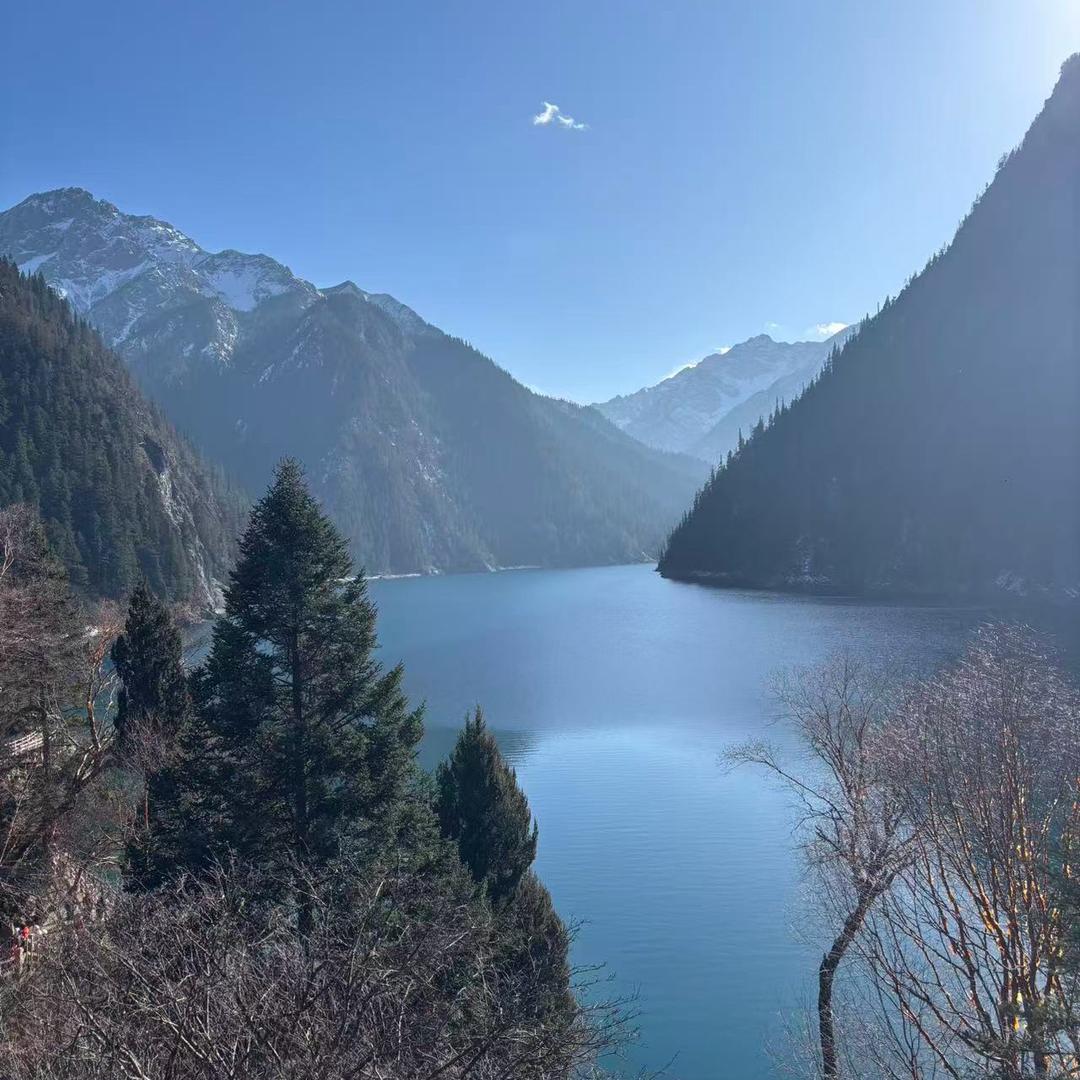 二手车奥扬(金牌收购)