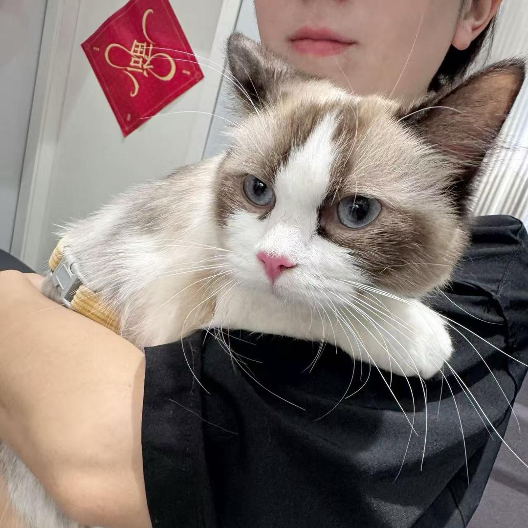 书亦烧仙草小丽姐