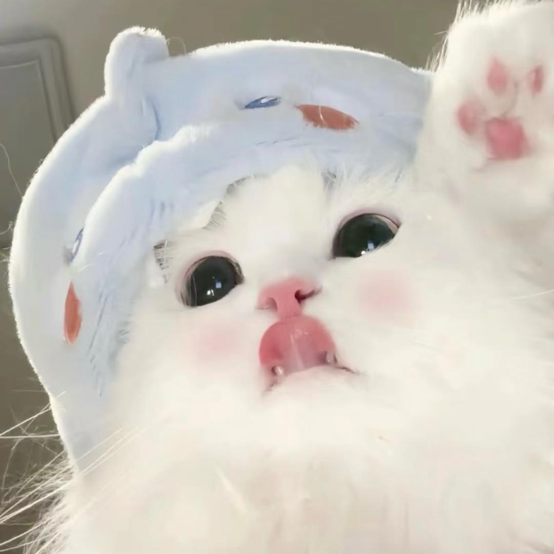@🧸🧸