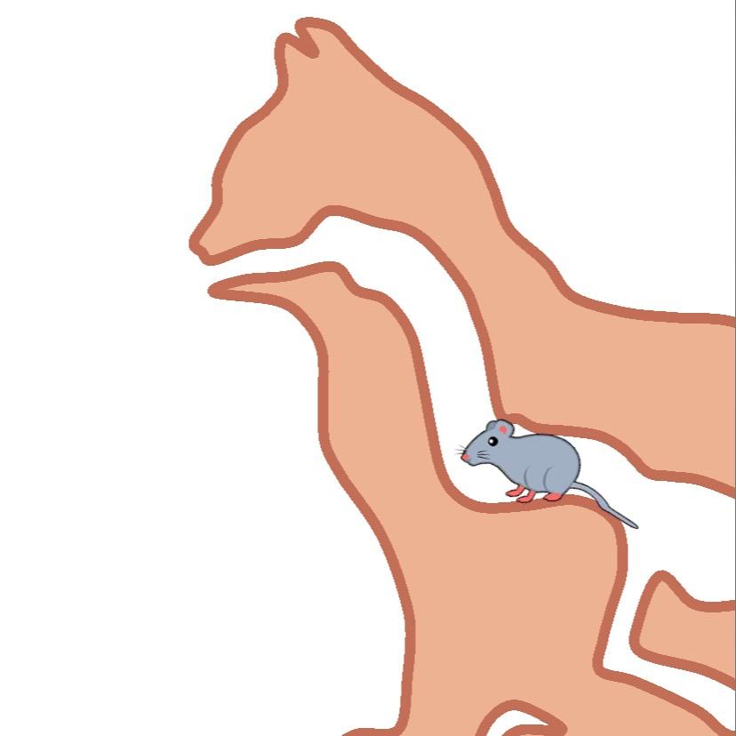 本长搬砖