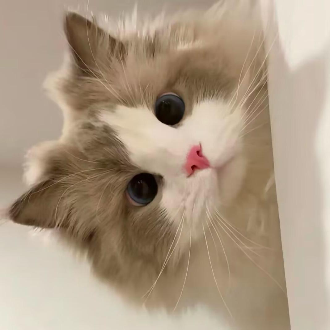 小林.