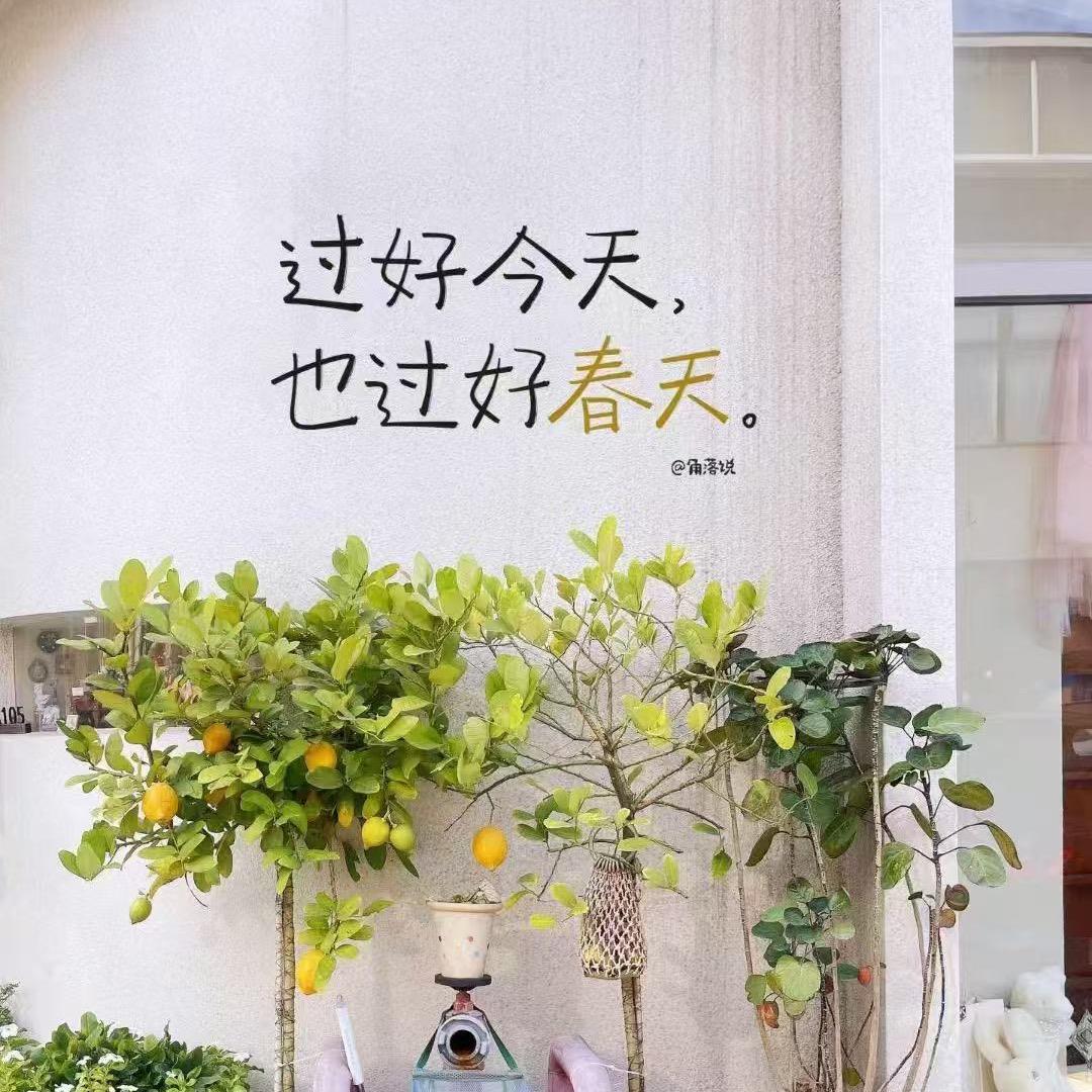 视频在线直播