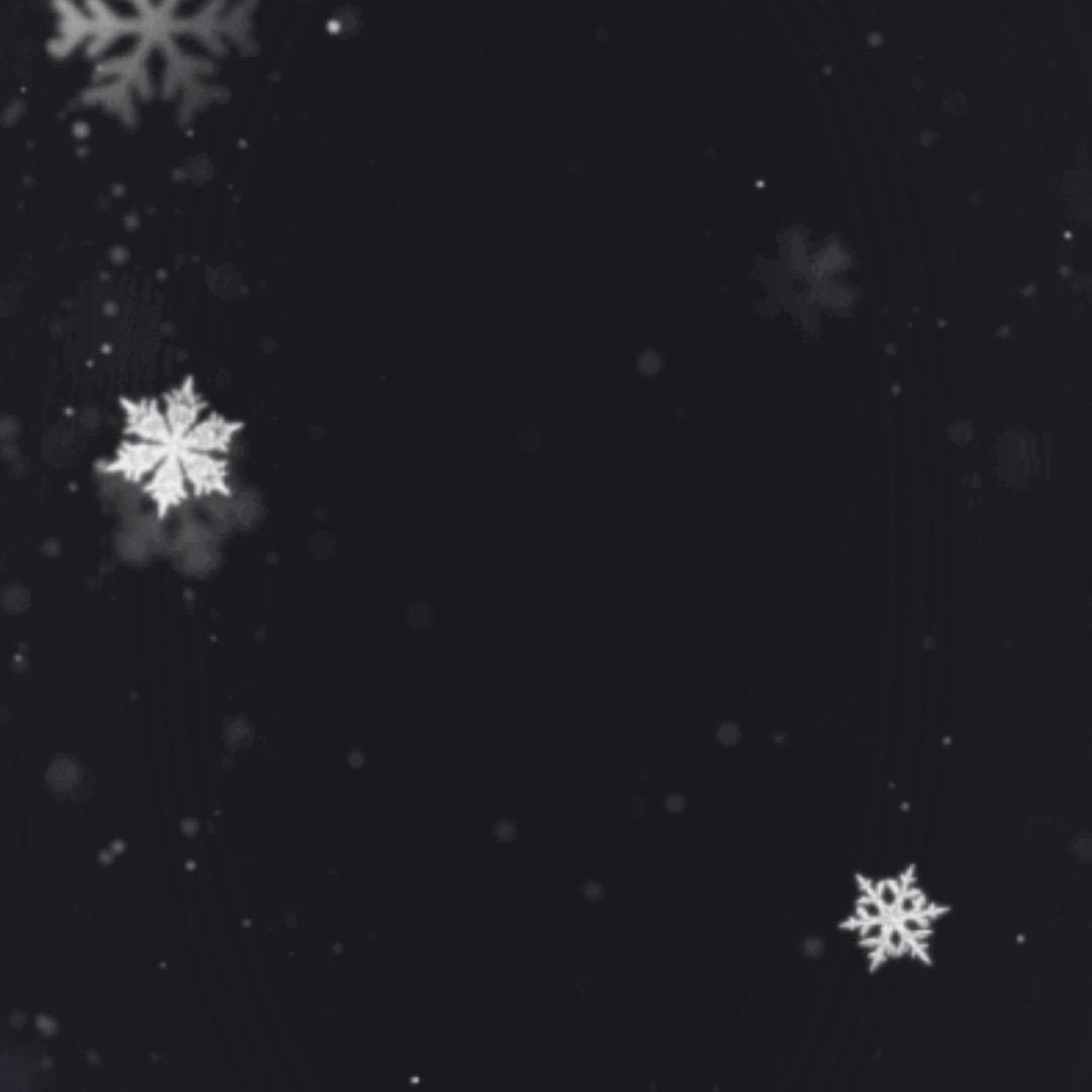 我是可爱的风风风