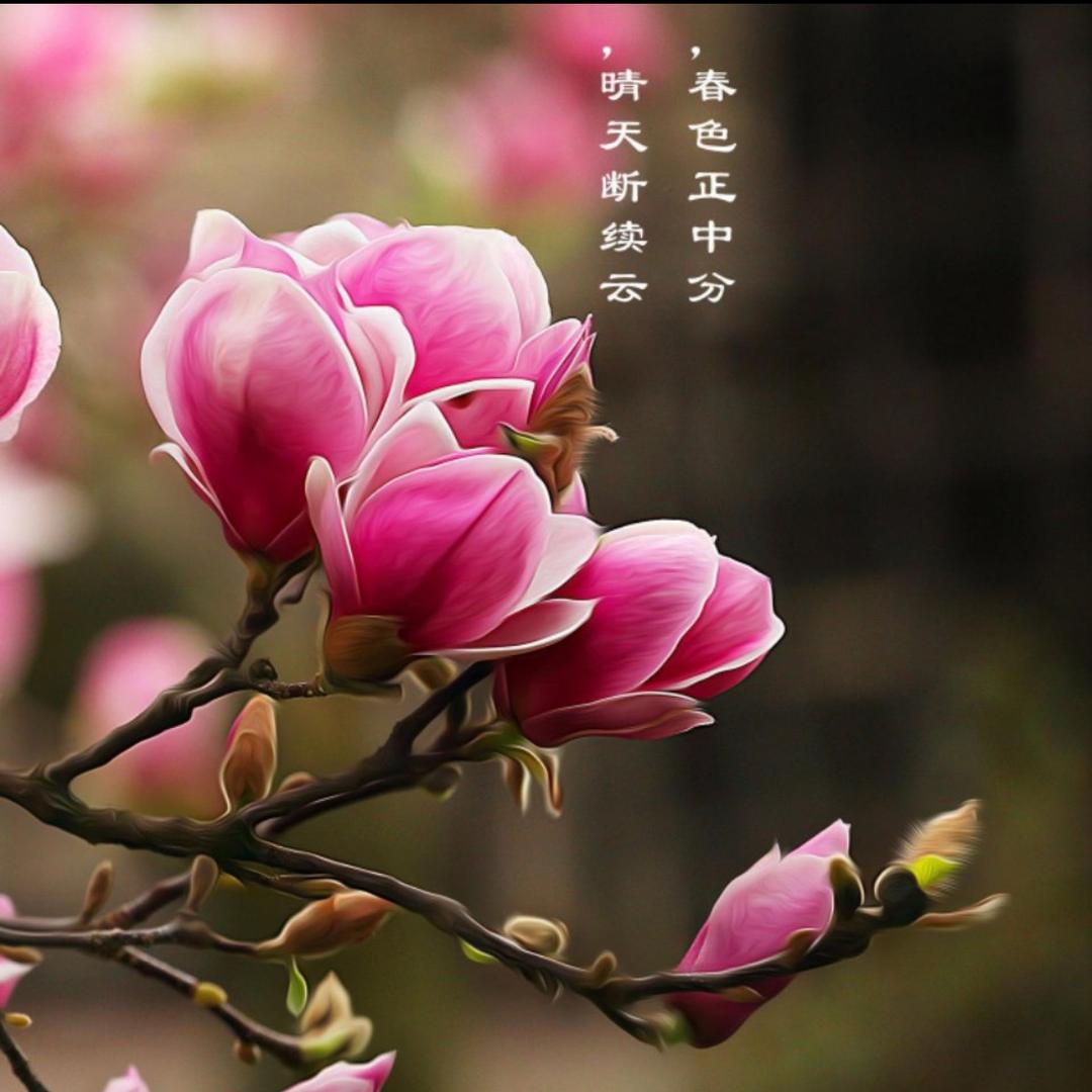 群