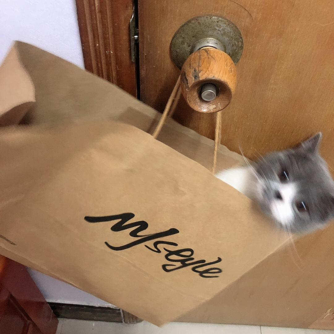 拐拐不挑食