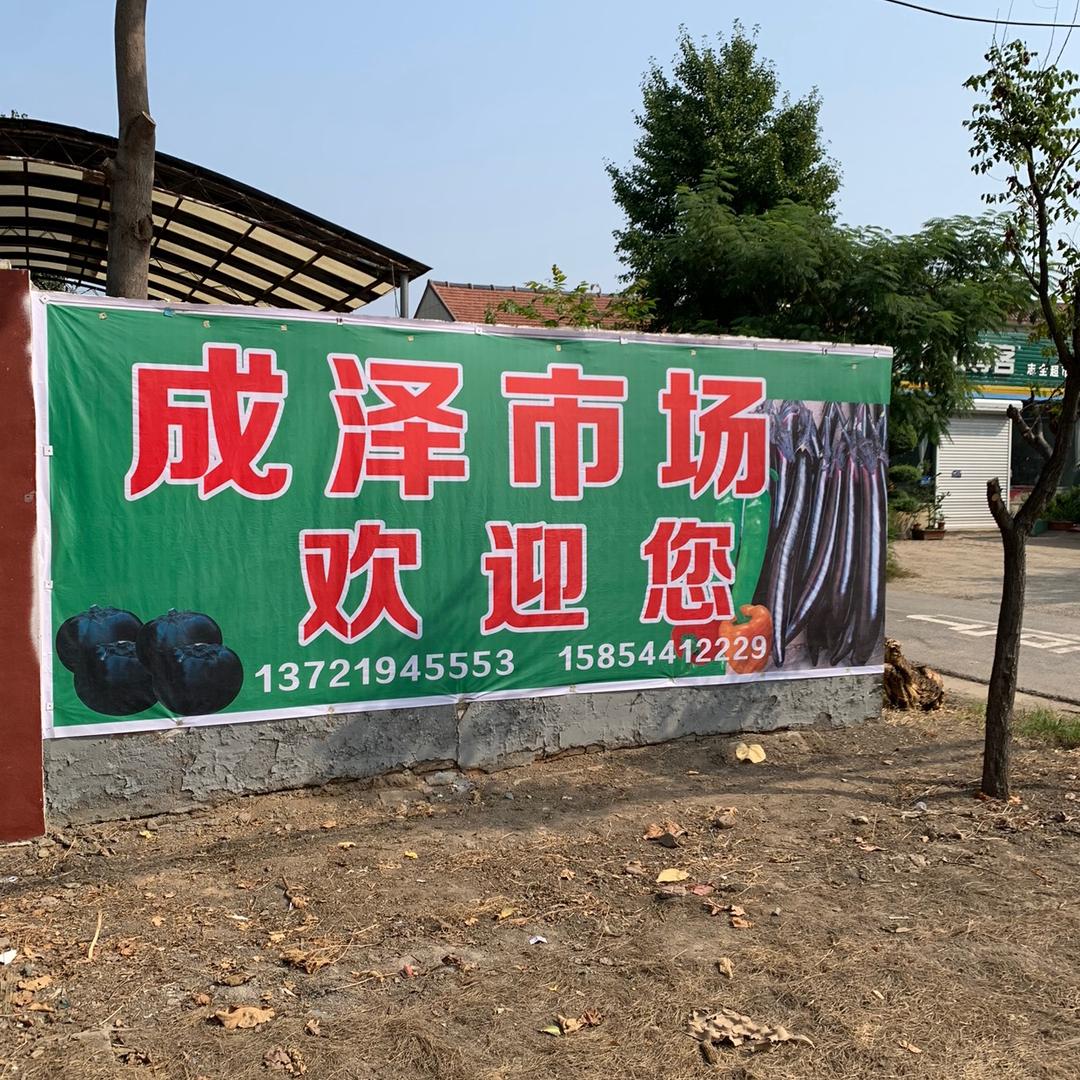 精品大龙长茄代收