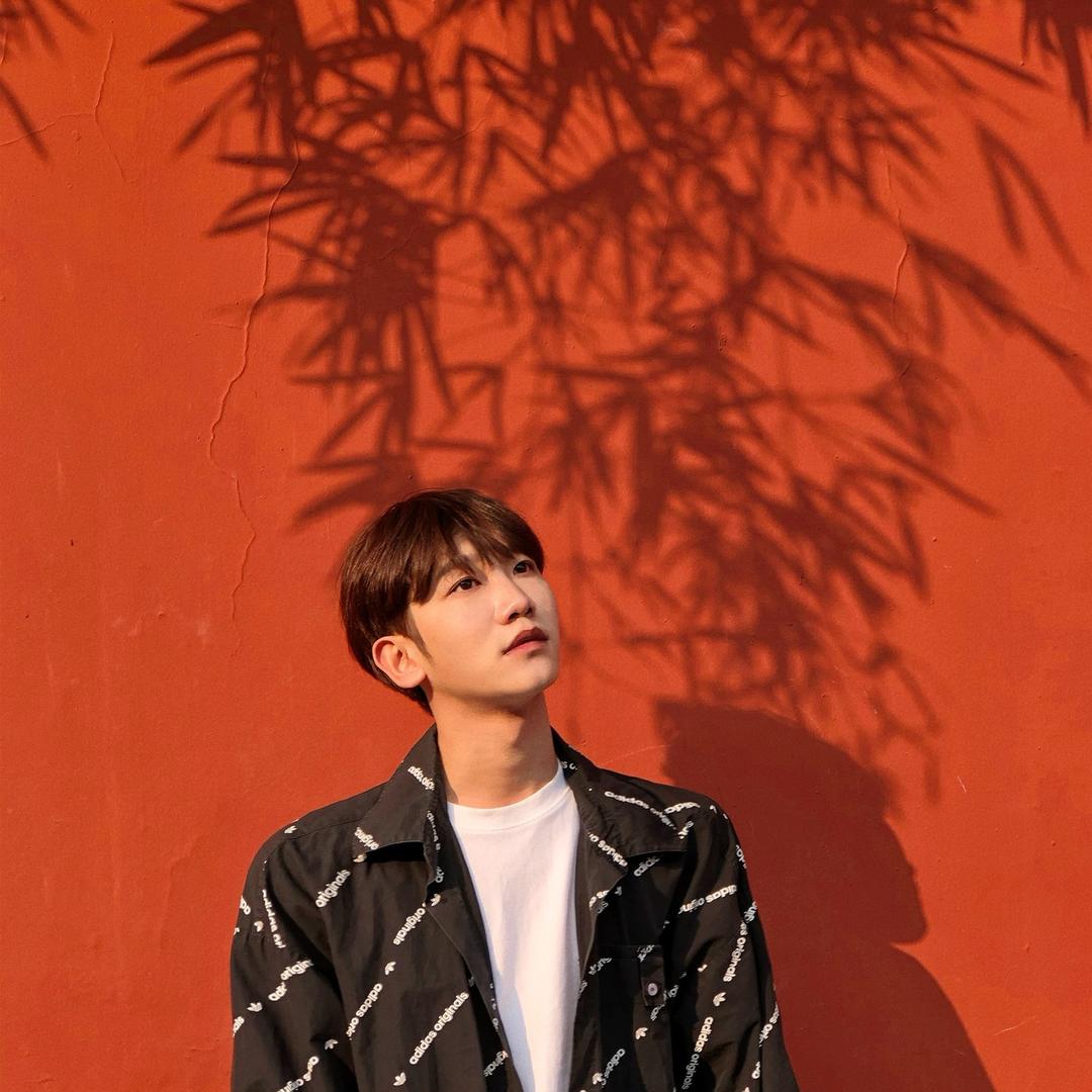 粉饼果子（分享版）