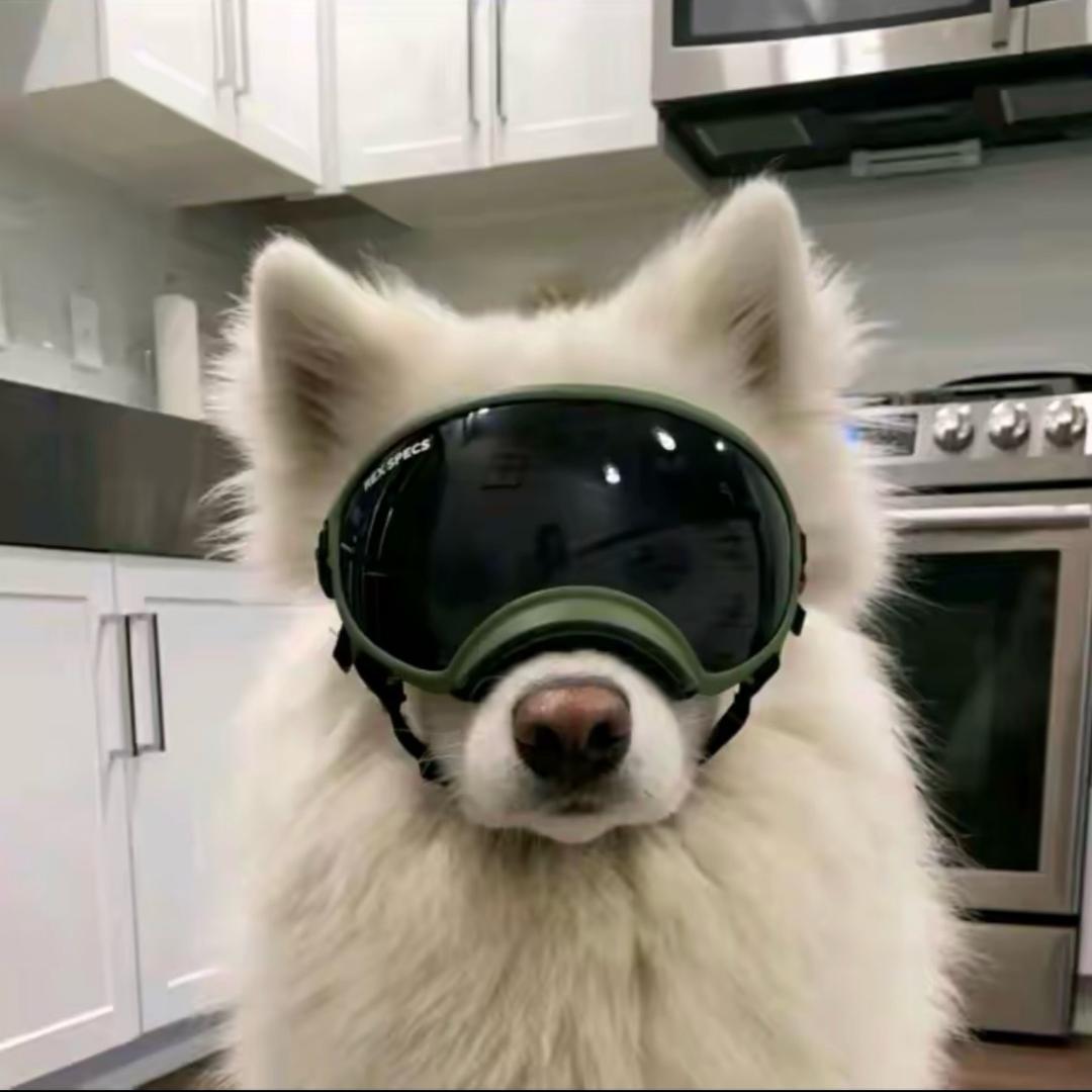 不能伤女孩子的心