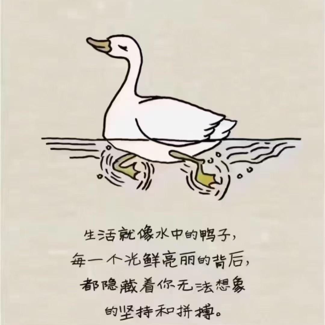 追光.