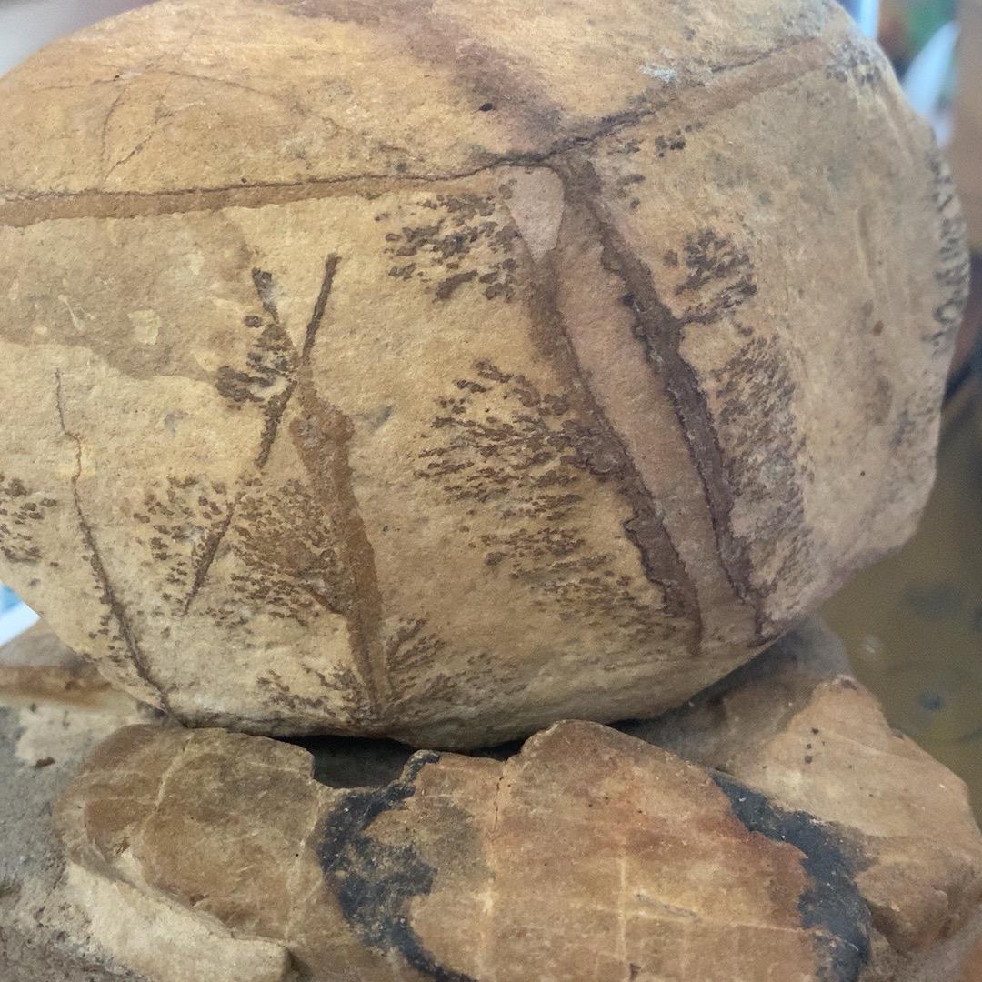 罗小样