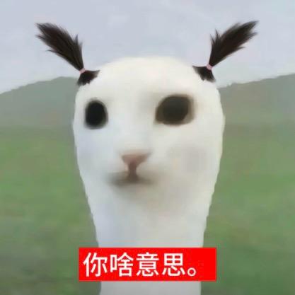 周小淇