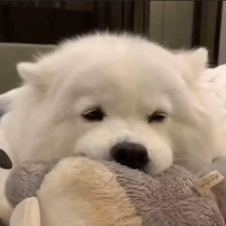 奇思妙想