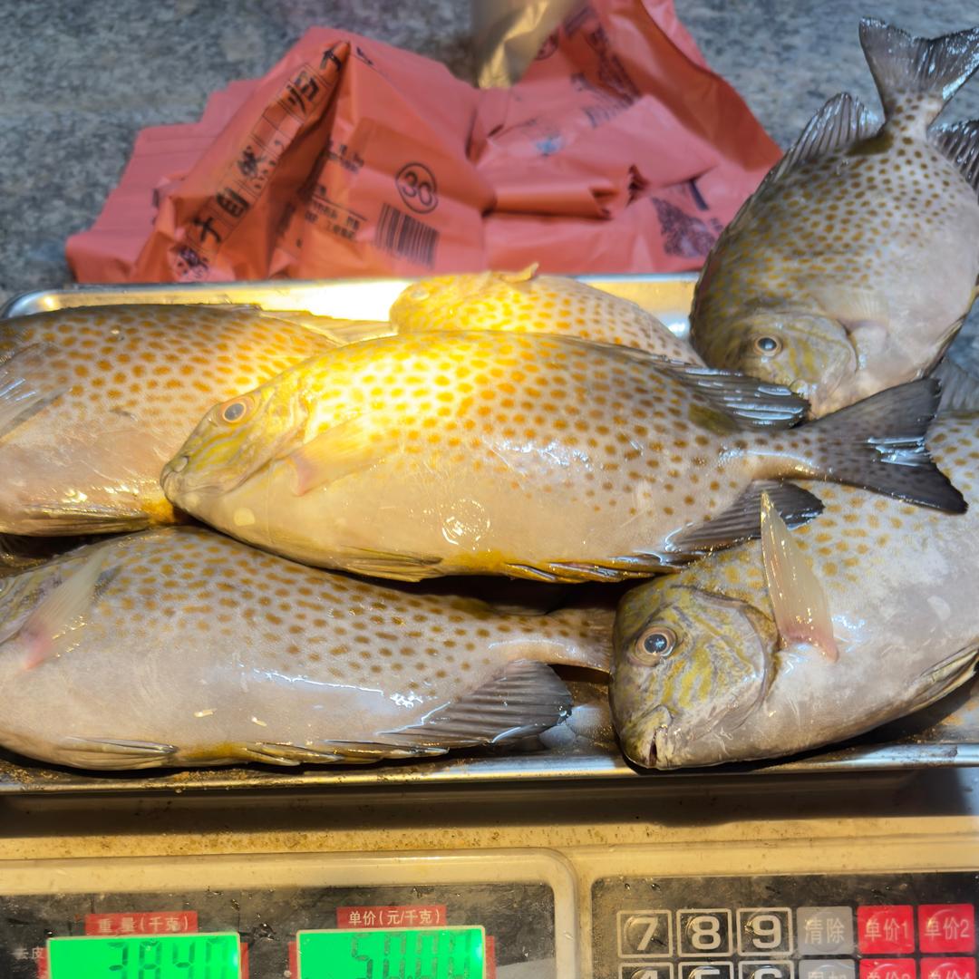 北坡小唐（万宁小海)