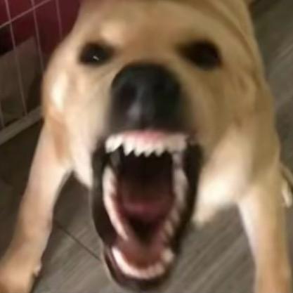 假装忧郁被人肘击