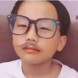 卧龙凤雏与舟