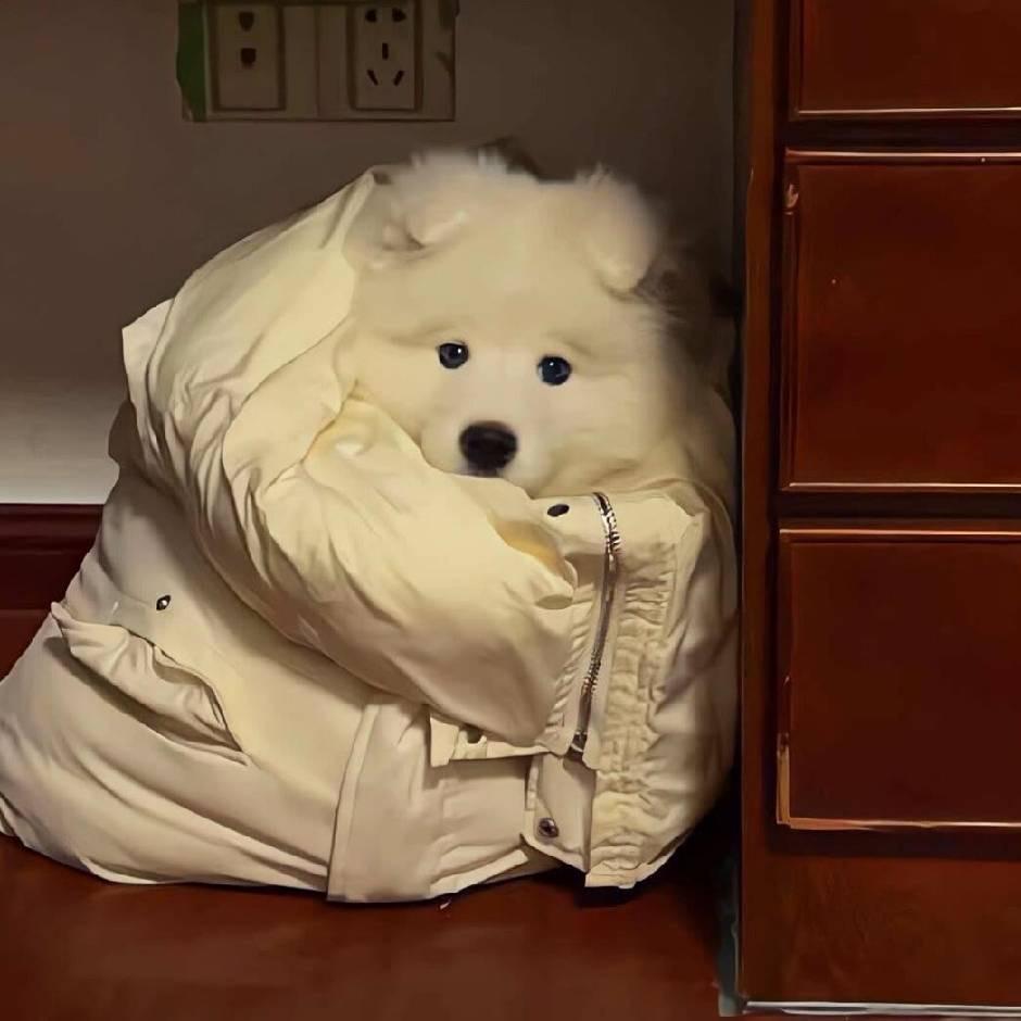 去码头整点薯条吧