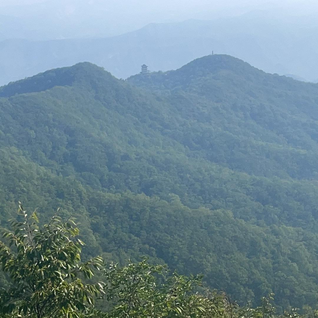 众志成城