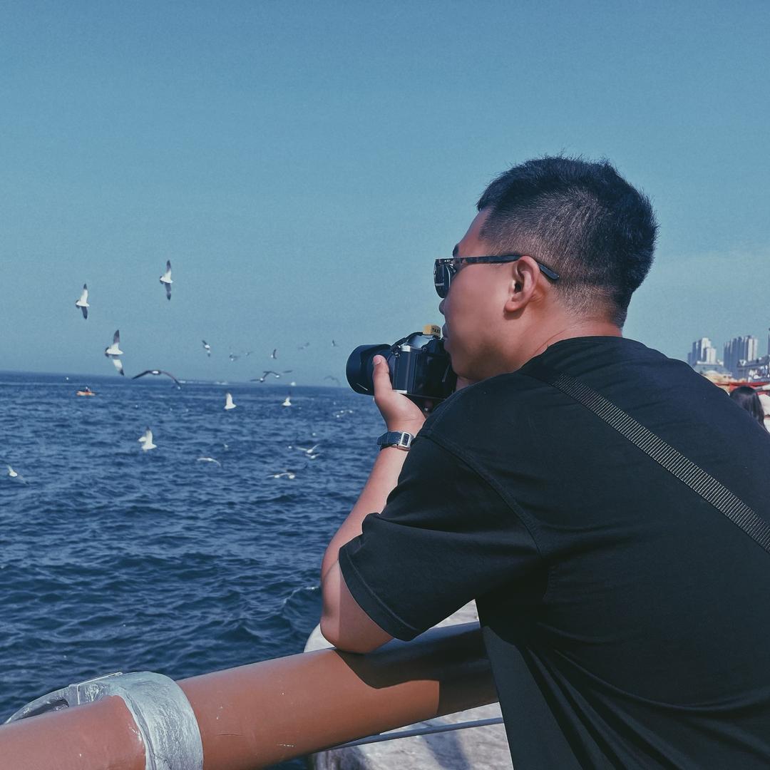 别看我只是一只杨🐑