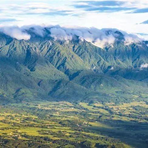 云南土特产优选