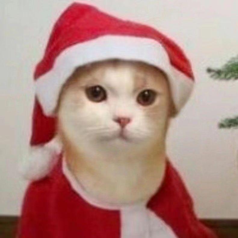 净化