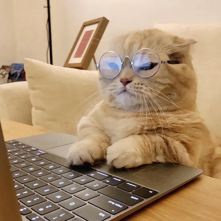 我是谁，你在哪？