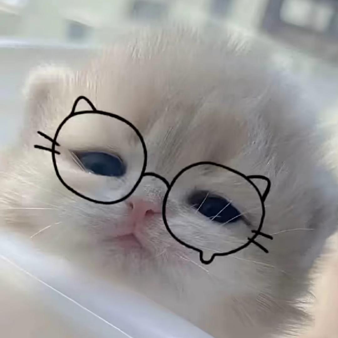 劈叉蚂蚁