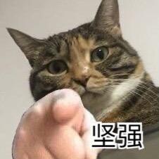 王能全（什么游戏都玩）