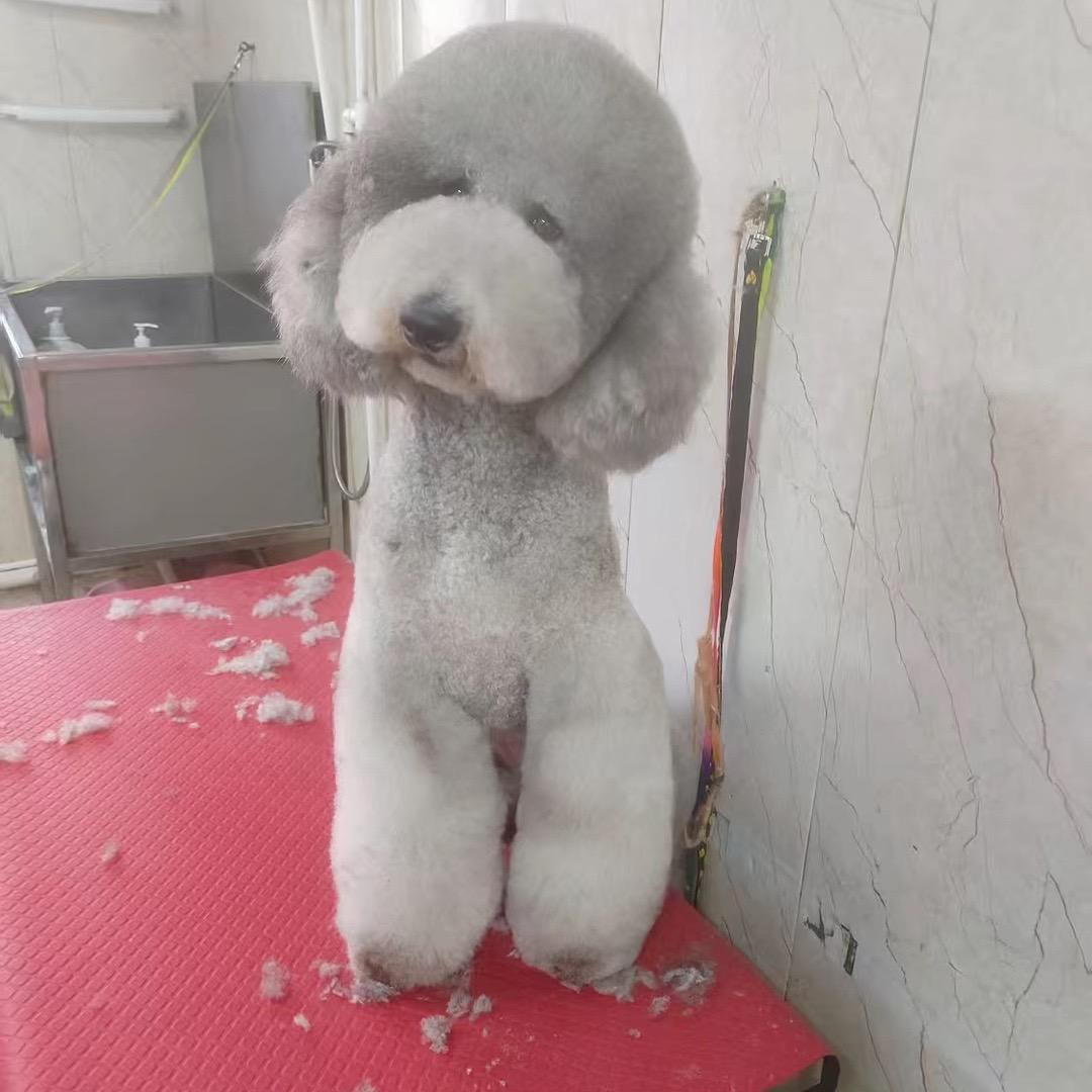 李兴建
