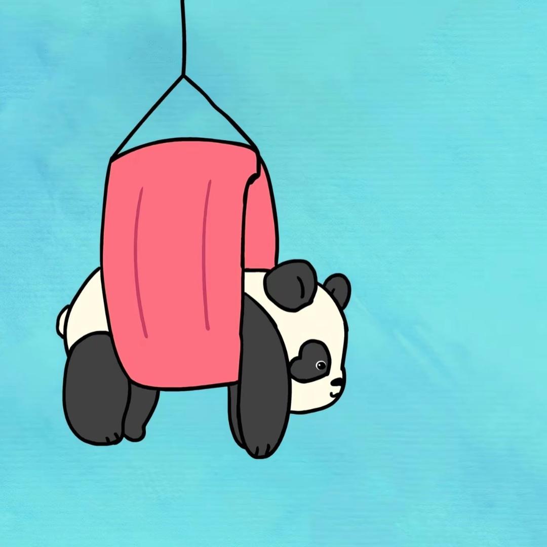 小能猫