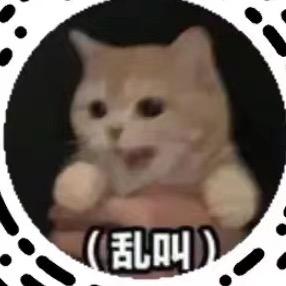 盒子📷