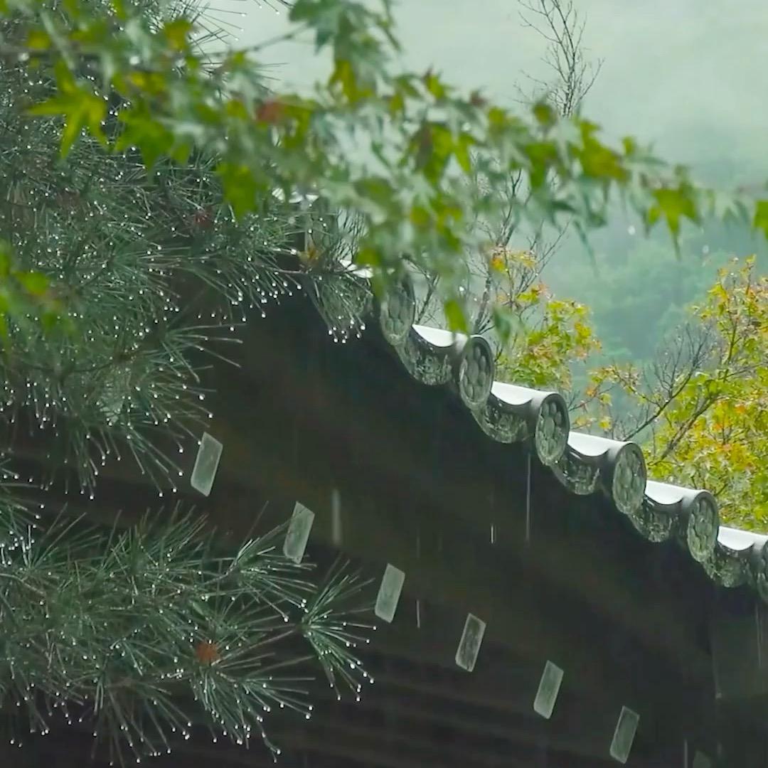 天津南开牛胸骨面馆