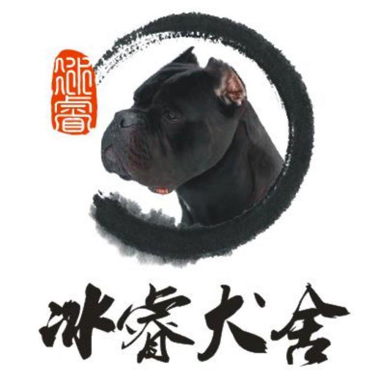 重庆黎叔的卡斯罗（冰睿犬舍）