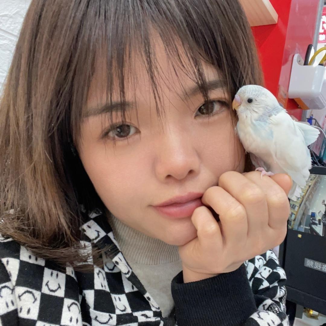 珍珍内裤袜子批发