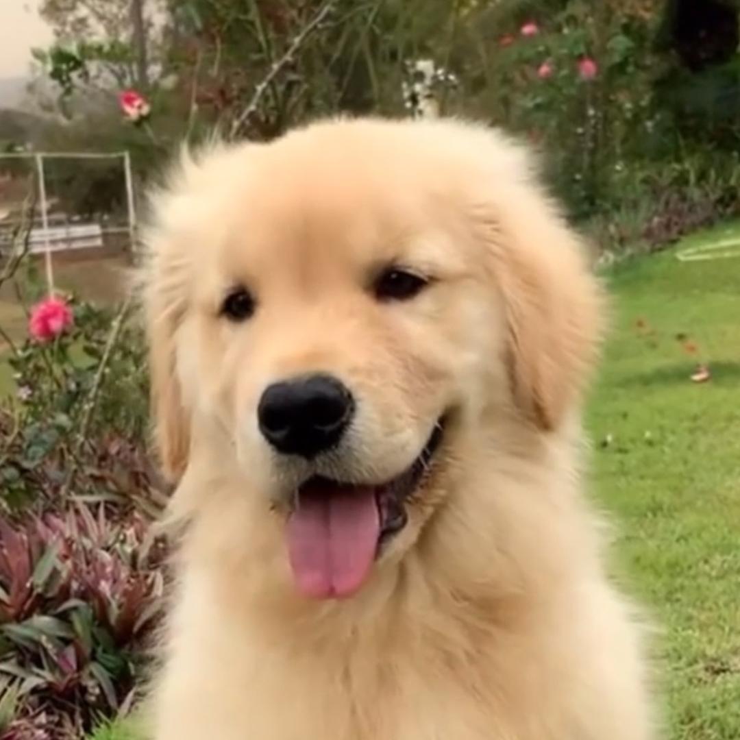 我有八百个心眼子