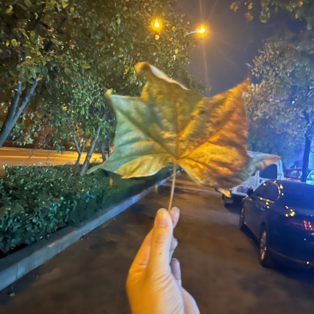 永远有多远