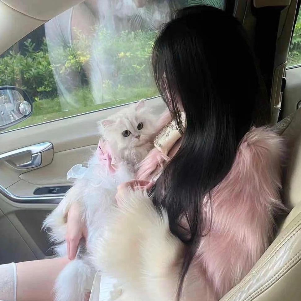 辰辰💕