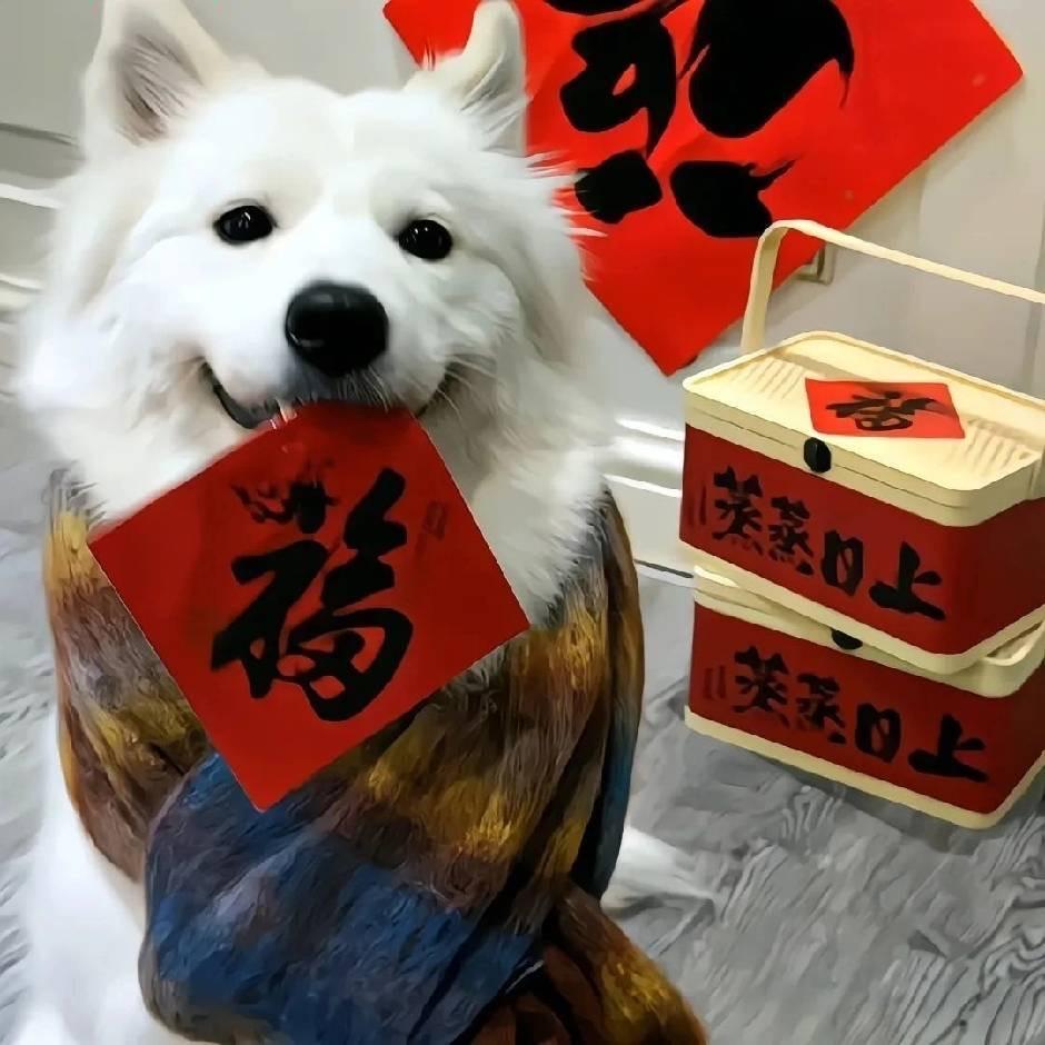 𤤾