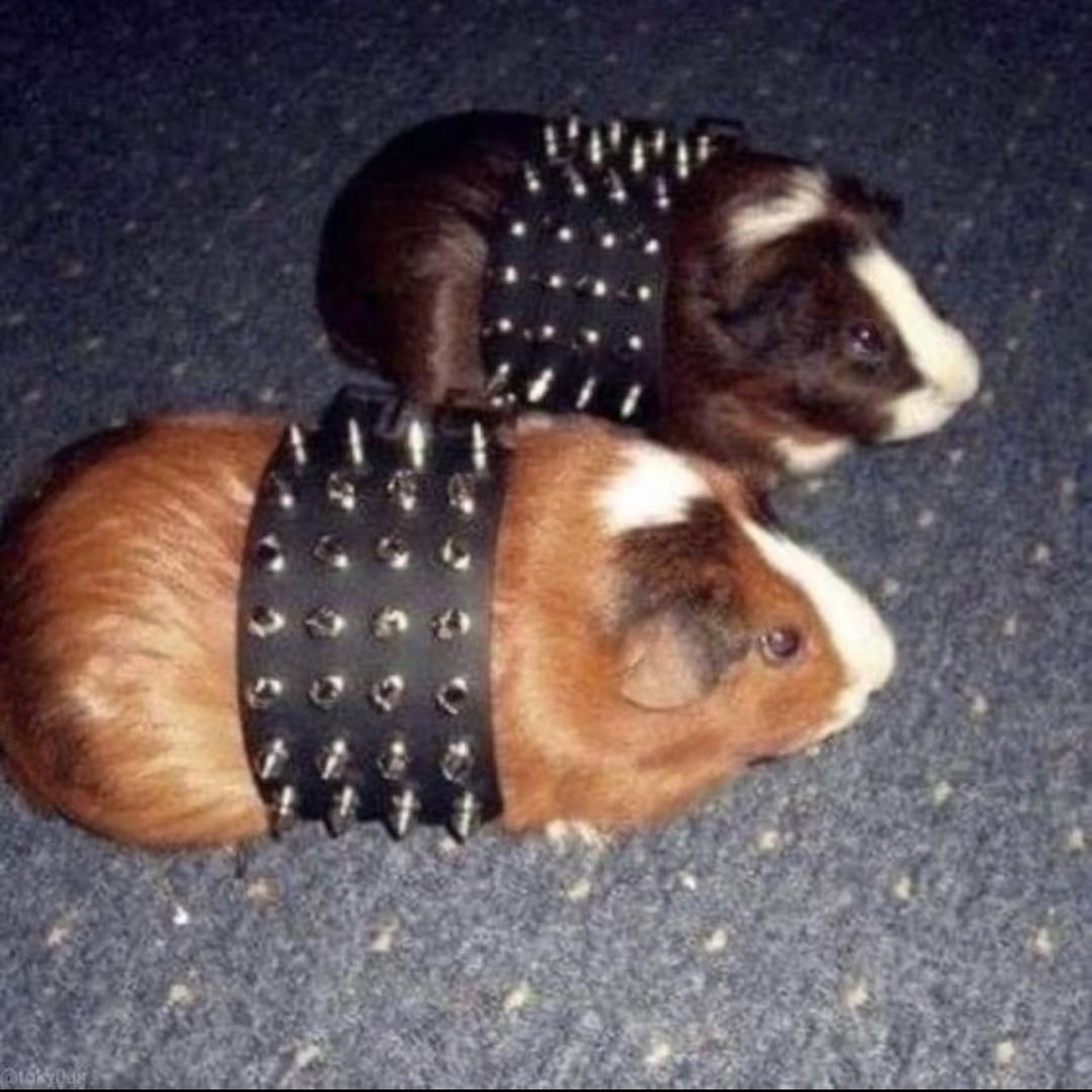 ViOnetSeven