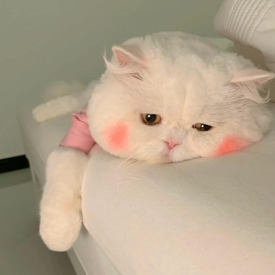 004.