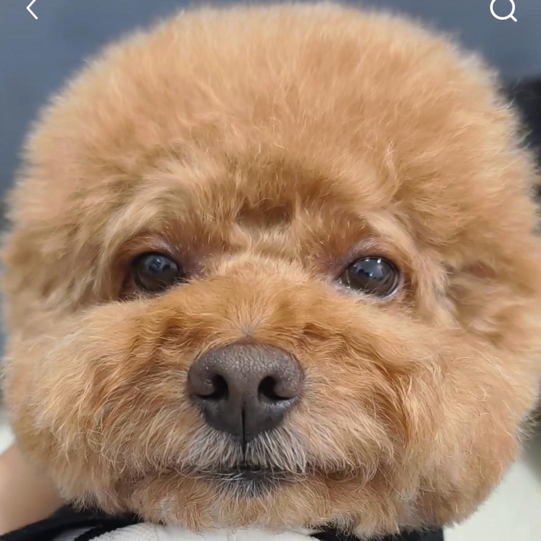 小周周周周周