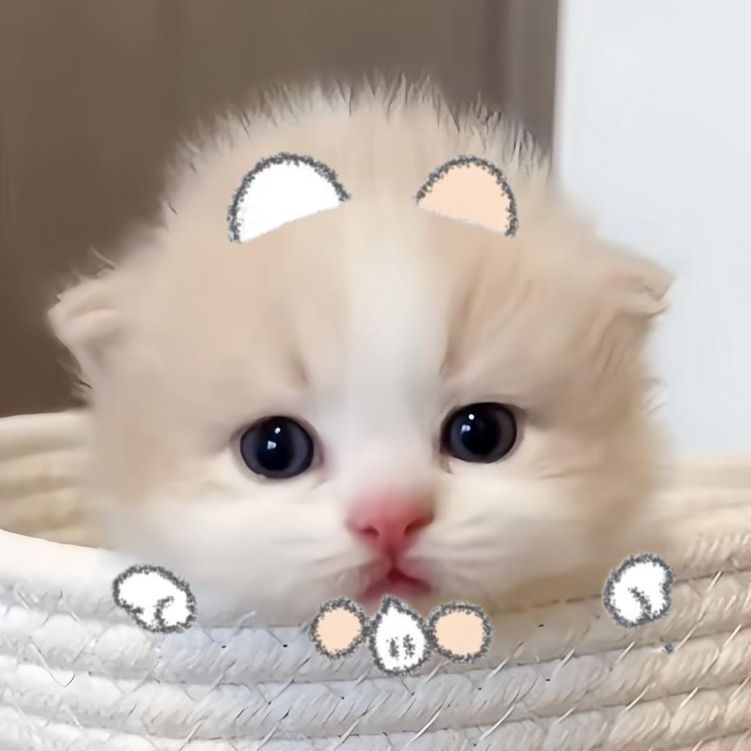旋律