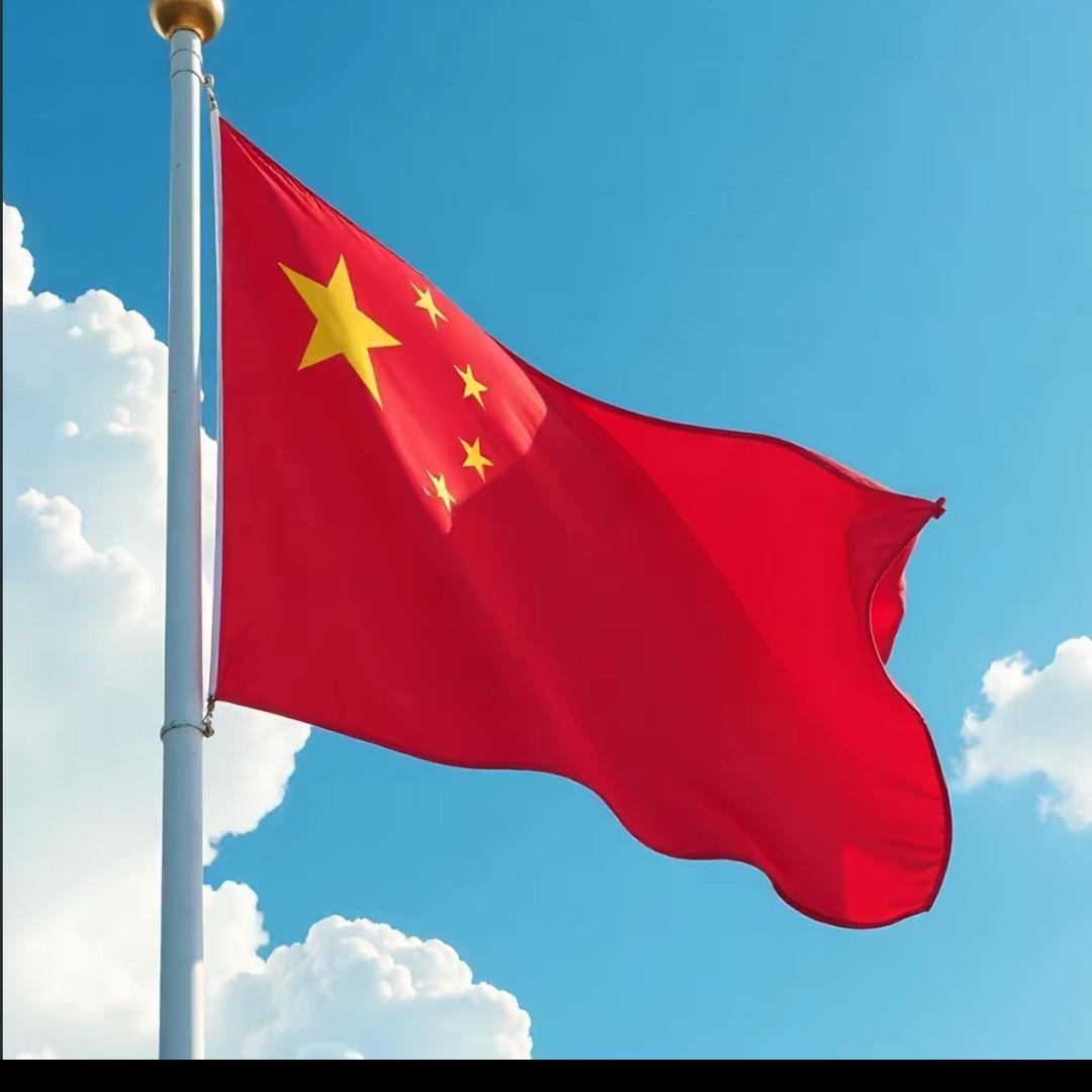 国内市场需求