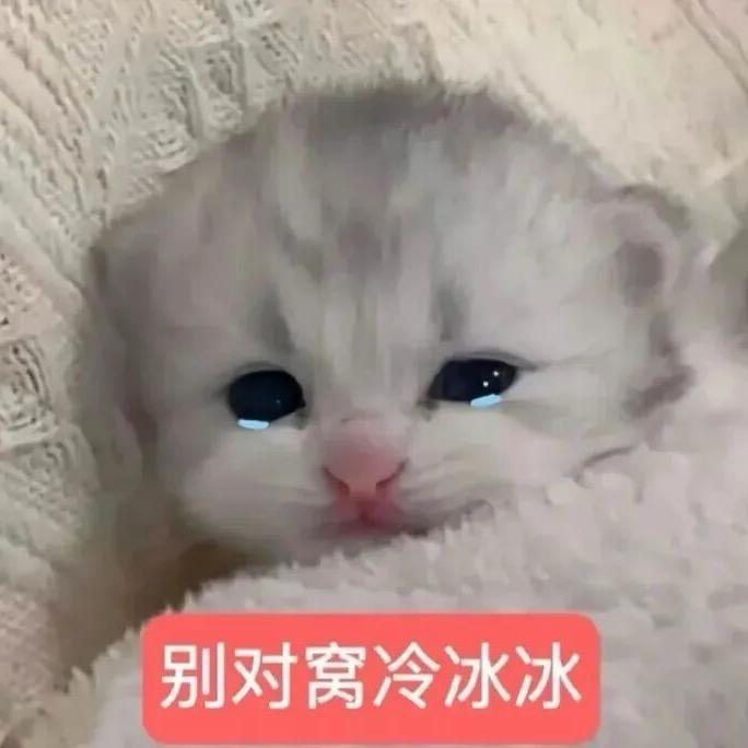 美的丧良心
