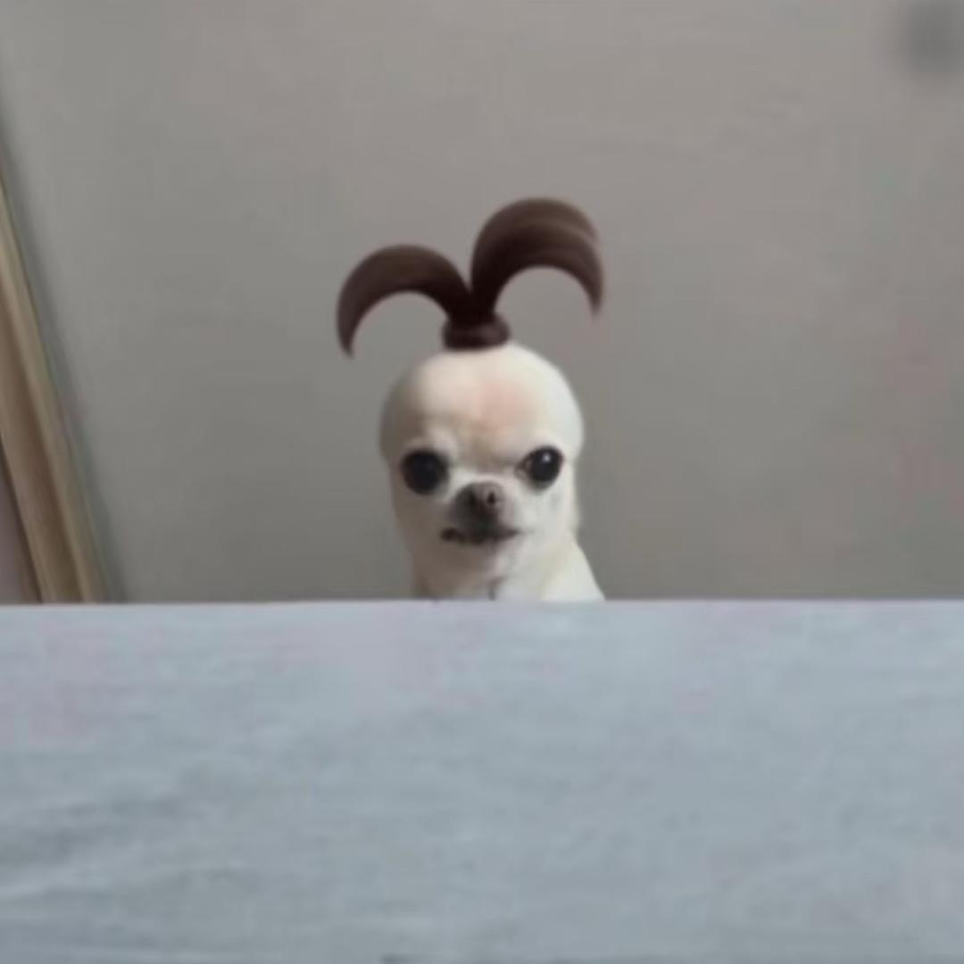 咸鱼袜