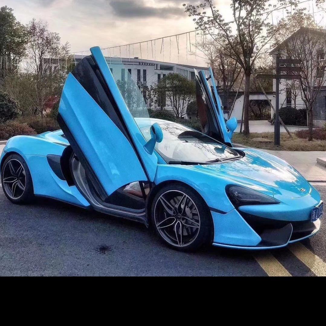 --家欣「花心思婚车车队」