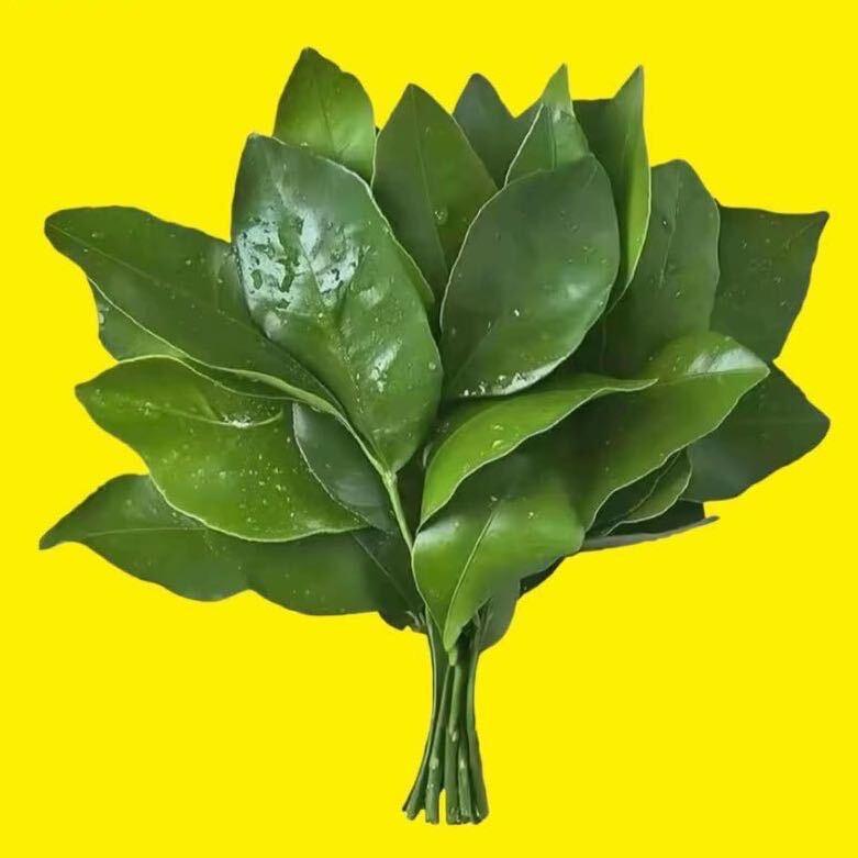 钱钱万万.💴💵💶💱