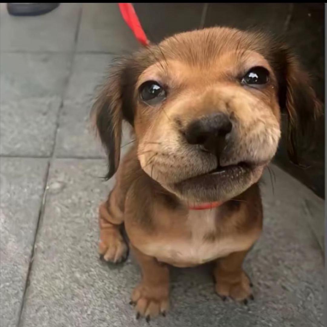 🤠