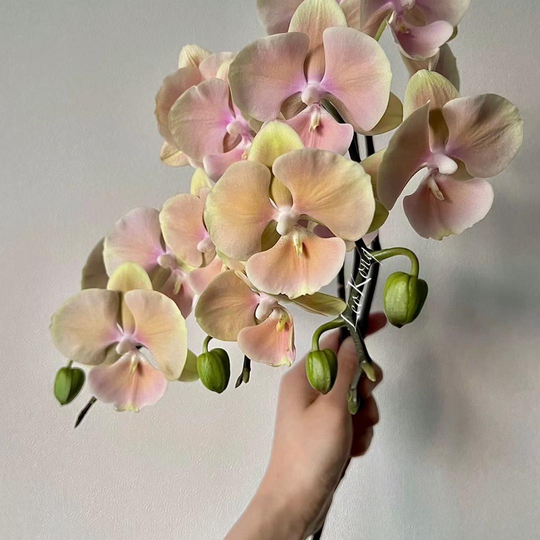 80后花大叔